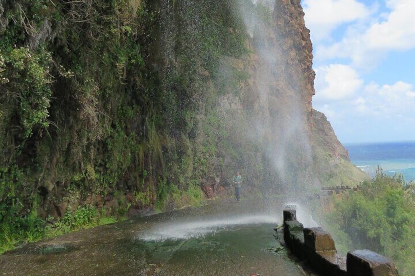 Sunny Southwest, Rum, Banana, Waterfall and Lighthouse Discovery