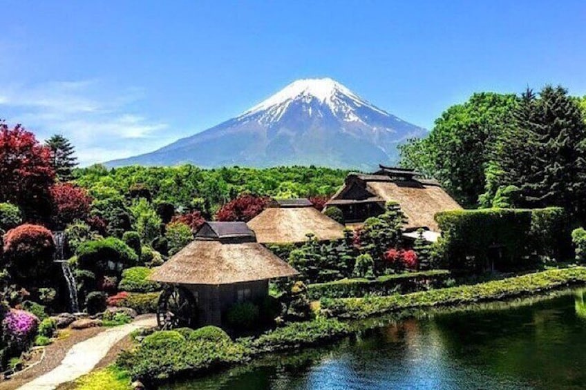 2 Days Private Tokyo Mount Fuji and Hakone Tour with Guide 