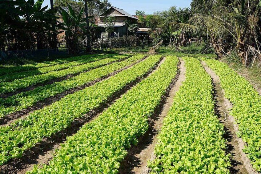 Village walking and Cooking class