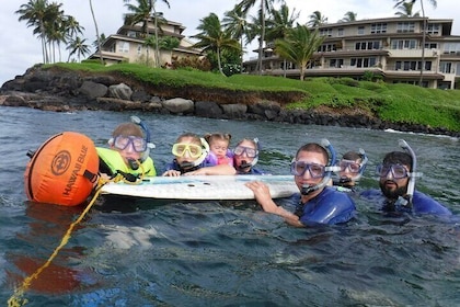 Private Group Snorkel Adventure on Tropical Reef with Sea Turtles