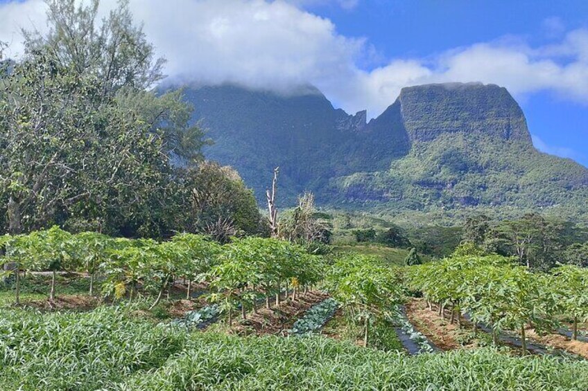 Agricultural high school area