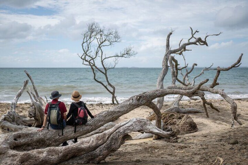 Private Tour to Mount Healthy National Park