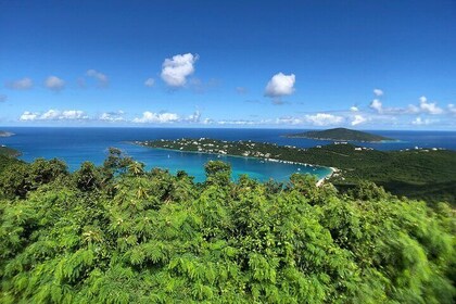 Private Tour Hull Bay Farm & Beach