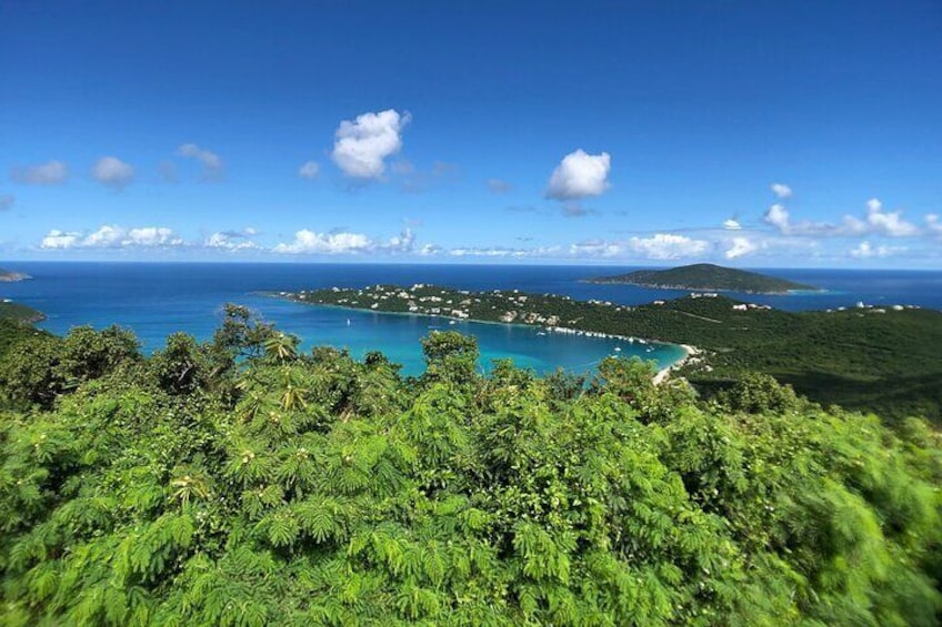 Private Tour Hull Bay Farm & Beach