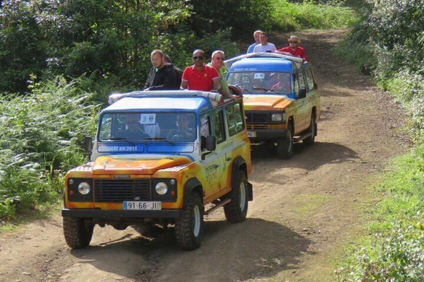 Bestselling Wine Tour, Tasting Experience & Skywalk 4x4 Adventure