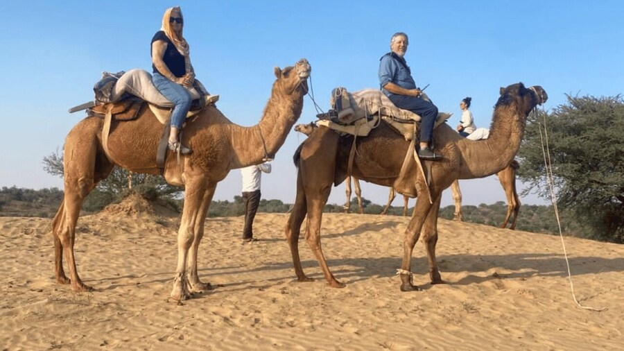 Jodhpur Camel & Jeep Safari with Sunset, Folk Dance, Dinner