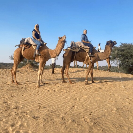 Jodhpur Camel & Jeep Safari with Sunset, Folk Dance, Dinner