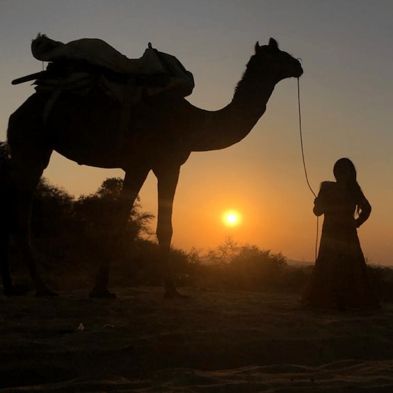 Picture 10 for Activity Jodhpur Camel & Jeep Safari with Sunset, Folk Dance, Dinner
