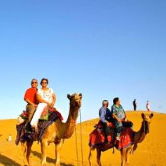 Jodhapur Camel Safari And food