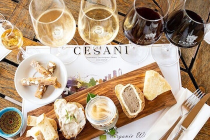 "Gourmet" Wine Tasting at Cesani's