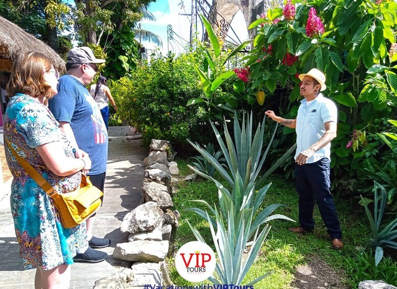 Picture 3 for Activity Private Van Service. Tasting the best of Cozumel