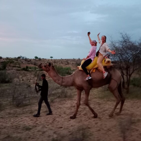 Picture 1 for Activity The Real Jodhpur Camel Safari In Desert Wita Marwadi Dinner