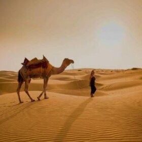 Den verkliga Jodhpur kamelsafari i öknen Wita Marwadi middag