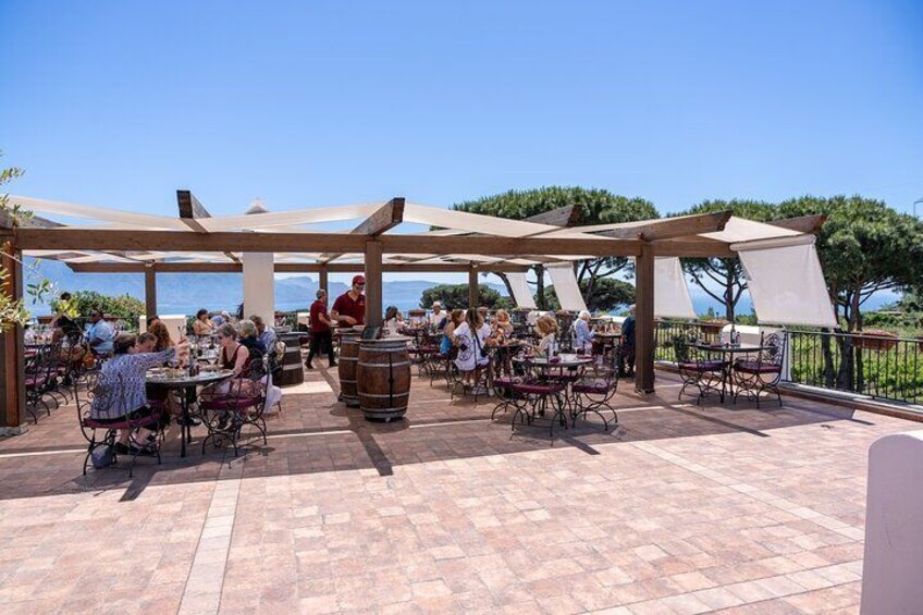 Visit of Pompei and Wine Tasting with Lunch from Salerno