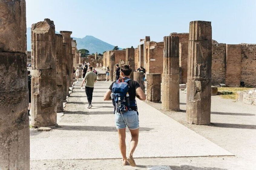 Pompei and Mount Vesuvius Wine Tasting Private Tour from Salerno