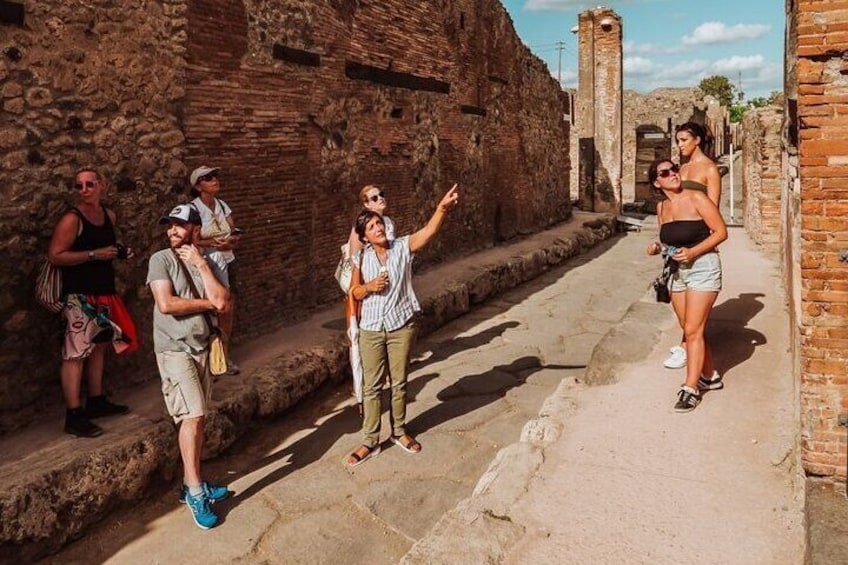 Pompei and Mount Vesuvius Wine Tasting Private Tour from Salerno