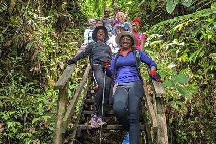 7 Hours Wildlife Discovery Tour in Dominica