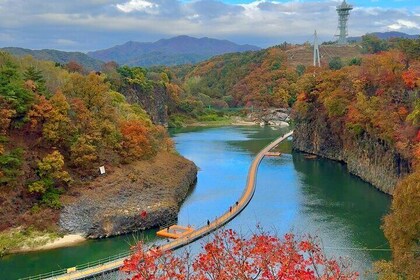 DMZ Tour, 2nd Tunnel & UNESCO Suspension Bridge Tour from Seoul