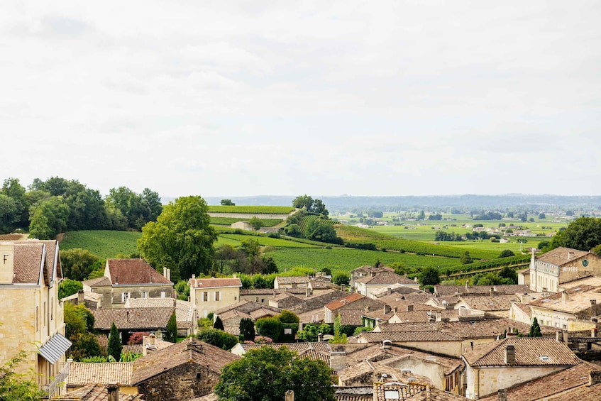 Picture 5 for Activity From Bordeaux: Half-Day Saint-Émilion Tour and Wine Tasting