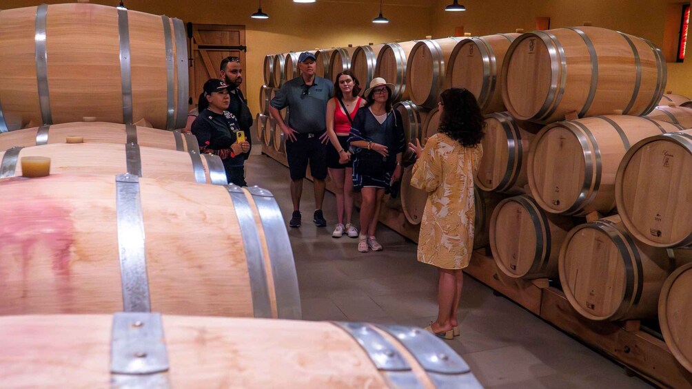 Picture 13 for Activity From Bordeaux: Half-Day Saint-Émilion Tour and Wine Tasting