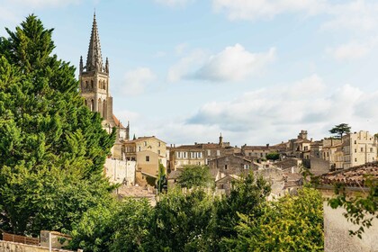 Desde Burdeos: Visita de medio día a Saint-Émilion y cata de vinos