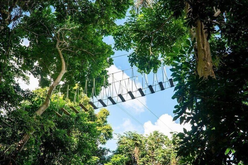 Adveture Trail Tour in the foothills of the National Rainforest