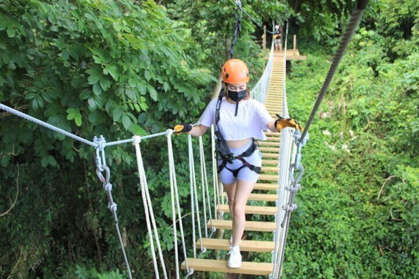Adveture Trail Tour in the foothills of the National Rainforest