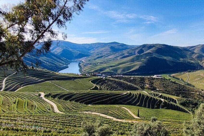 3-Hour Tour to Discover Pinhão - Moment of Discovery