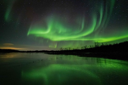 Senja Island: Vinterlyspakke, 1 dag og 1 natt