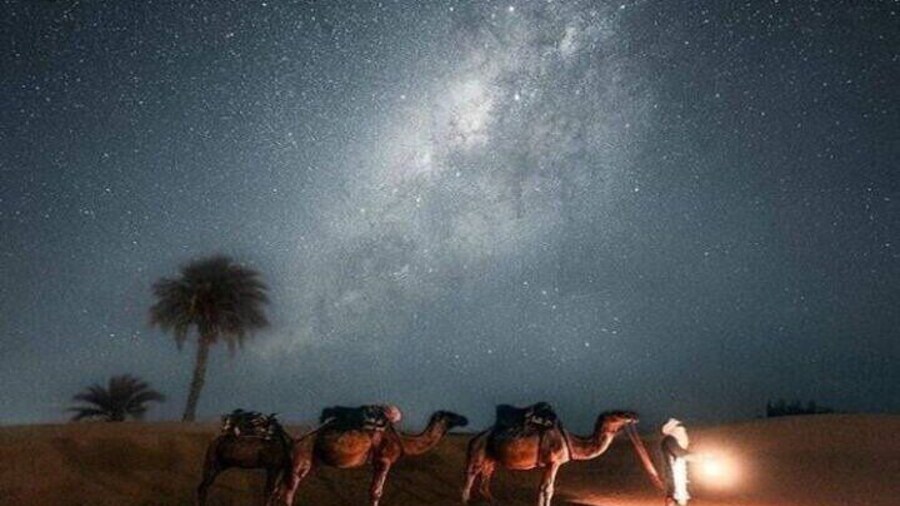 Hurghada Night Adventure JeepTour Stargazing and Dinner in Desert