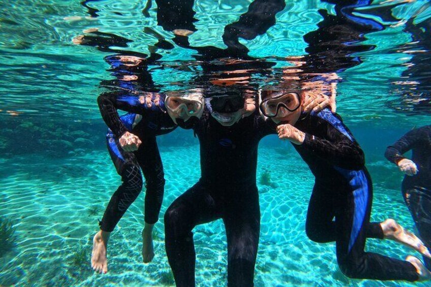 3 hours Manatee Swim Tour in Florida