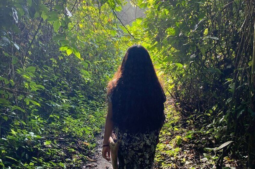 Bonampak Archaeological Zone and Walk in the Lacandona Jungle