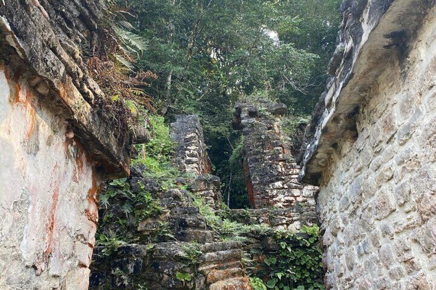 Bonampak Archaeological Zone and Walk in the Lacandona Jungle