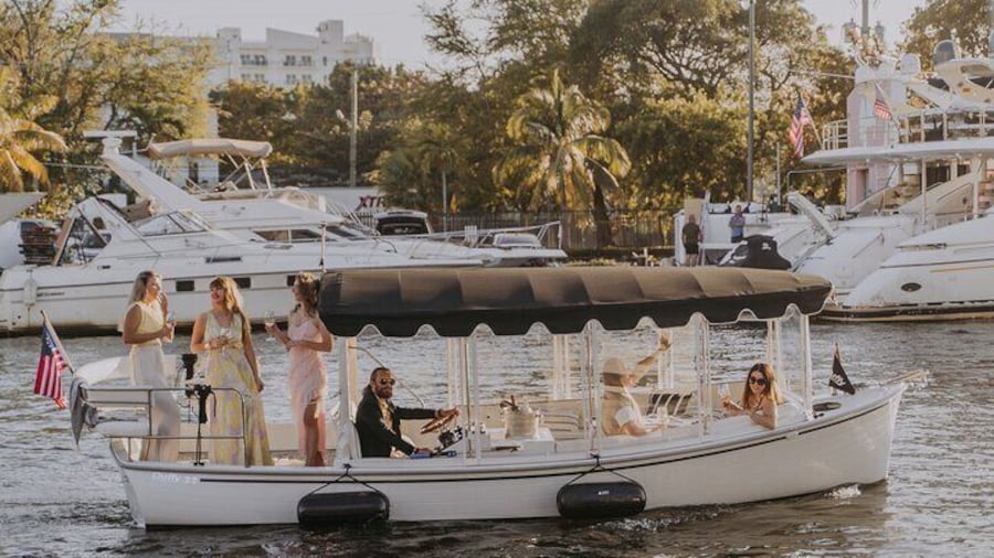 Luxury Shared E-Boat Cruise with Wine and Charcuterie Board