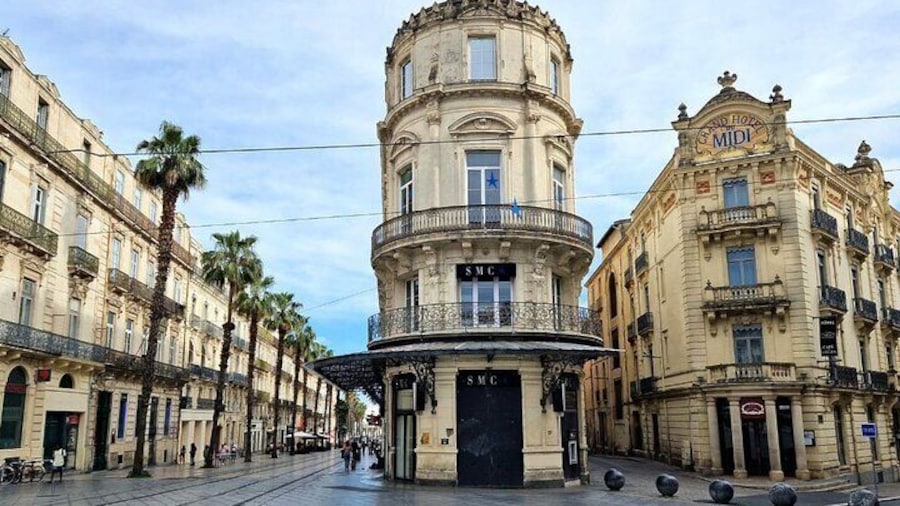 Montpellier Private Walking with a Local Guide