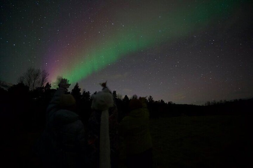 Northern Lights Tour with Hot Food and Drinks in Tromso