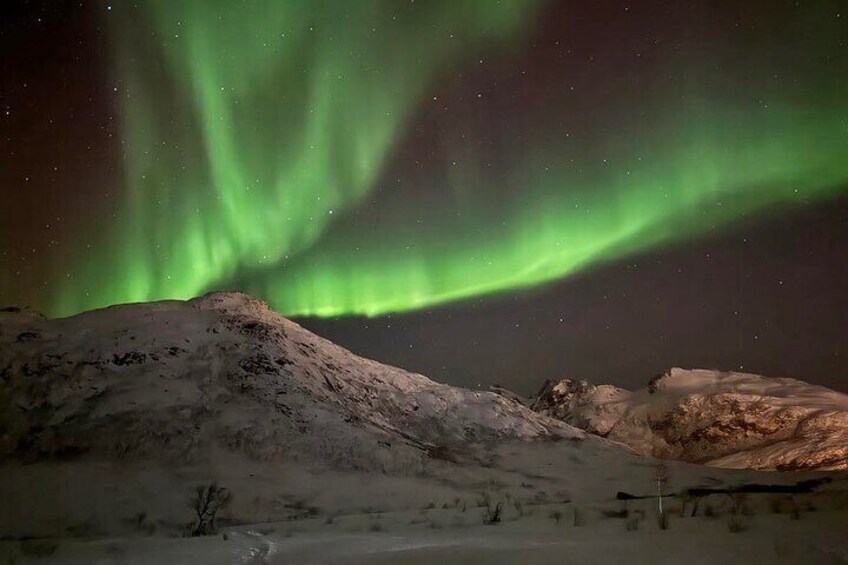 Northern Lights Tour with Hot Food and Drinks in Tromso