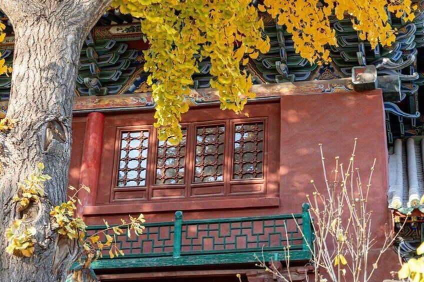 Beijing’s Delights Dong Si Hutong Half Day Private Food Tour