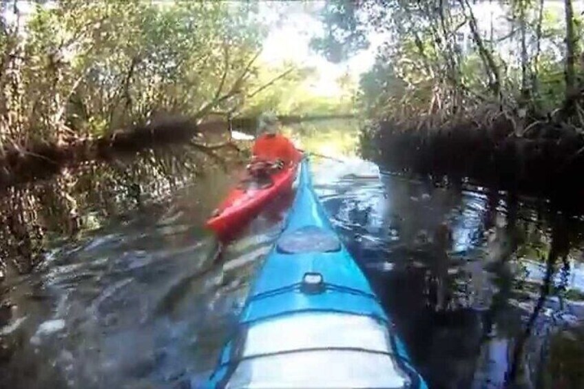 Kayaking inside the Everglades Mangrove : EvergladesFloridaAdvetnrues.com 
