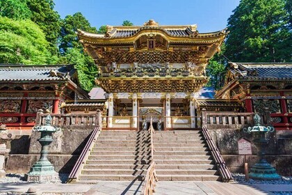 From Tokyo to Nikko: Limited Express Tickets with Souvenir