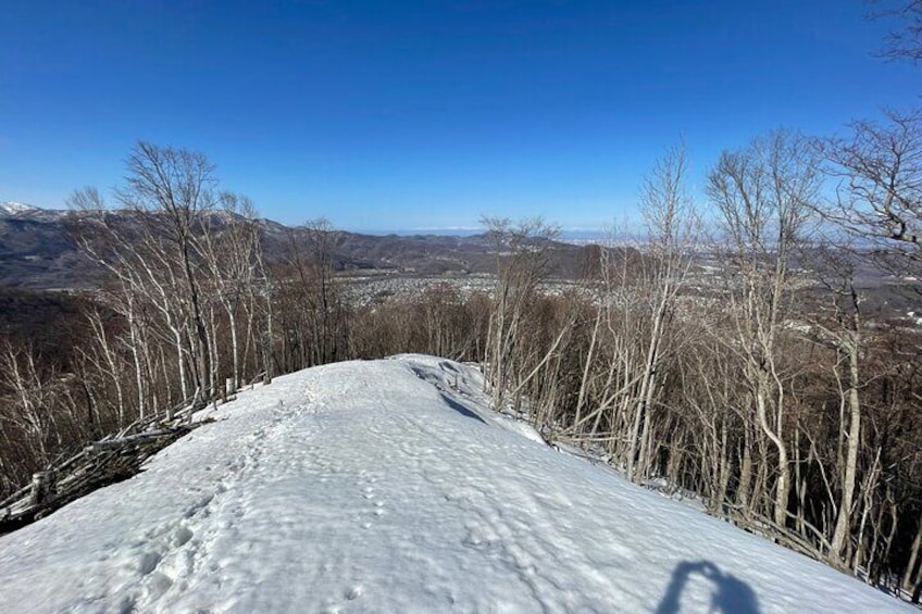 Full Day Snowshoeing Adventures.