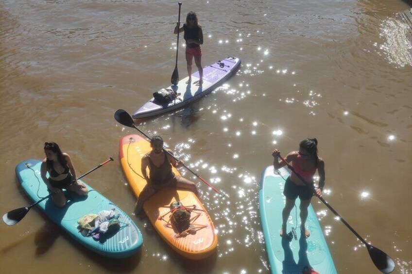 Guided SUP Tour and Discovery of the Rios de Tigre