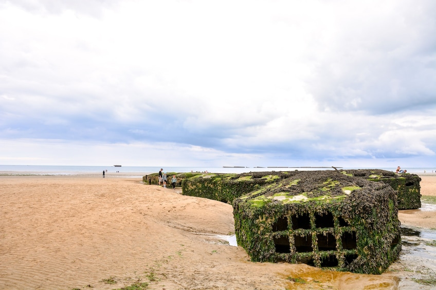 All Day Private Guided Tour Normandy D-Day Landing Beaches with Breakfast