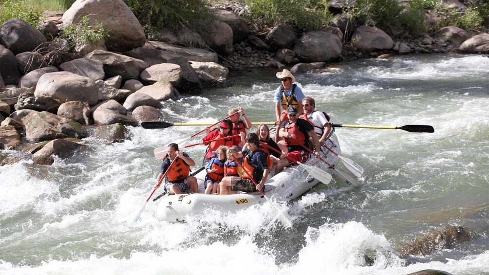 Family Whitewater-Rafting Adventure on the Lower Animas River