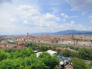Visita Privada - Gran Visita Panorámica de Florencia