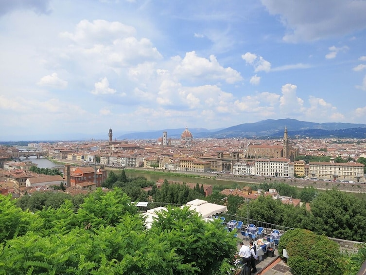 Private Tour - Grand Panoramic Tour of Florence