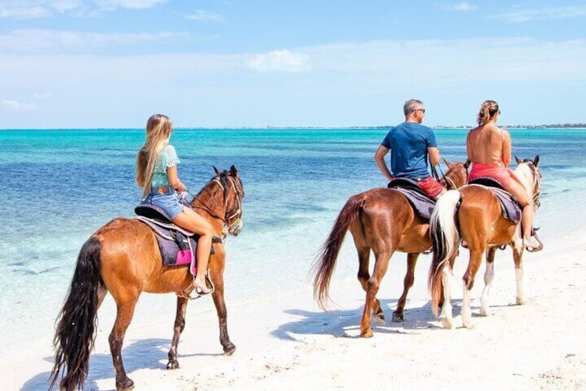 Private Horseback Ride and Swim in Turks and Caicos Islands 