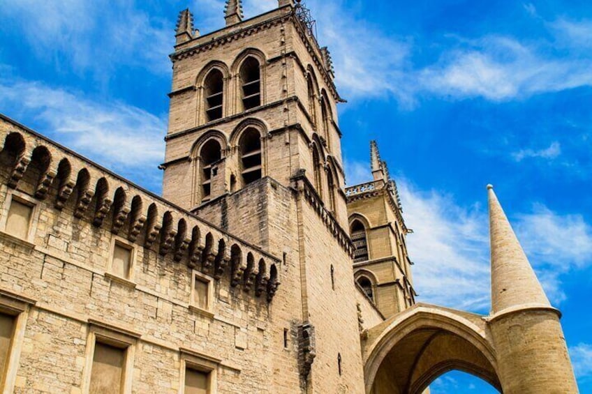 3 Hour La Rochelle Private Tour