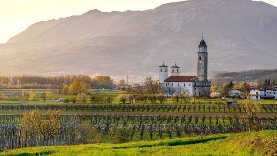 Vipava Valley Wine Express Tour