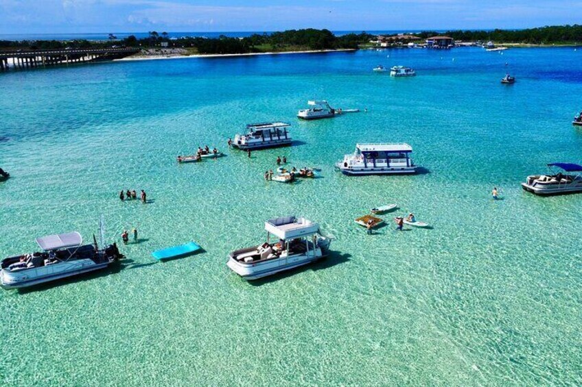 3 Hour Crab Island and Dolphin Cruise from Destin 